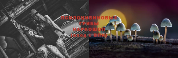 mix Вяземский