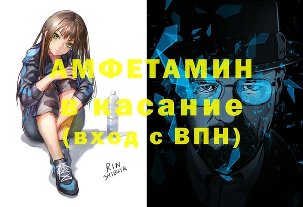 ПСИЛОЦИБИНОВЫЕ ГРИБЫ Горняк