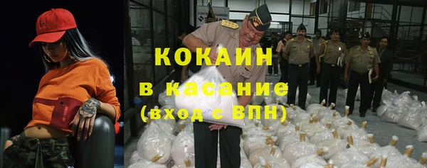 прущие грибы Горно-Алтайск