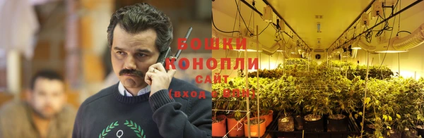 mix Вяземский