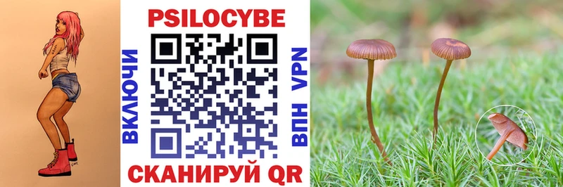 Купить закладки  Минеральные Воды  Галлюциногенные грибы прущие грибы 